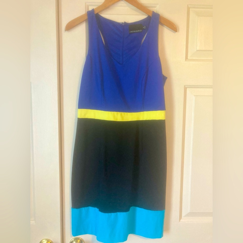 Fitted sleeveless color block dress